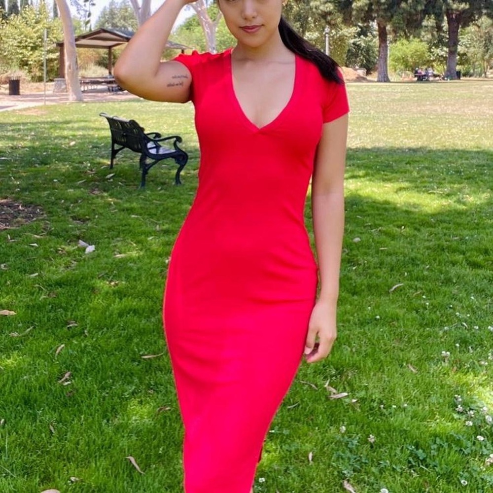 Aritzia Wilfred Red Bodycon Fitted Knit Dress